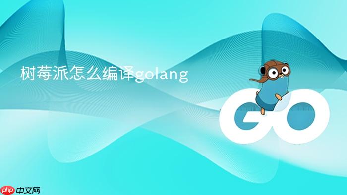 树莓派怎么编译golang