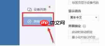 ToDesk如何设置显示语言