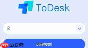 ToDesk如何设置显示语言