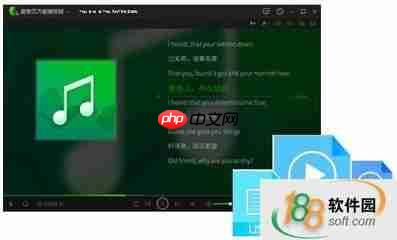 爱奇艺万能播放器怎么开启显示歌词