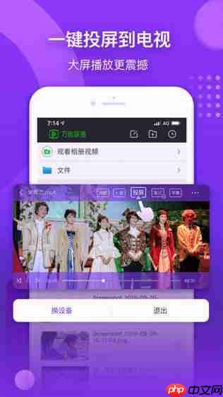 爱奇艺万能播放器怎么开启显示歌词