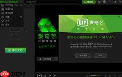 爱奇艺万能播放器怎么开启显示歌词