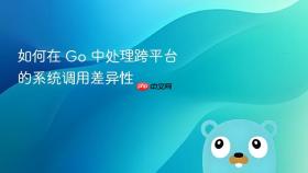 如何在 go 中处理跨平台的系统调用差异性