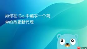 如何在 go 中编写一个简单的热更新代理