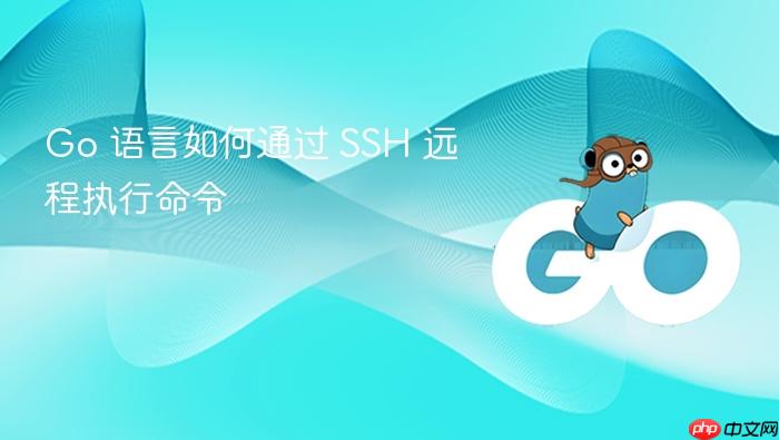 go 语言如何通过 ssh 远程执行命令