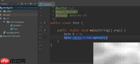 Java Byte包装类详解