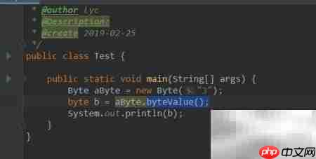 Java Byte包装类详解