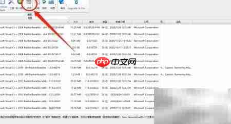 Revo Uninstaller开启文本标签