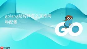 golang结构体怎么支持两种配置