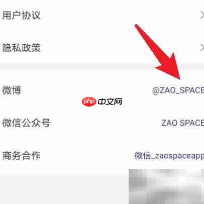 如何查看ZAO SPACE微博