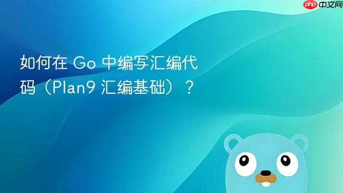 如何在 go 中编写汇编代码(plan9 汇编基础)?