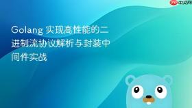 golang 实现高性能的二进制流协议解析与封装中间件实战