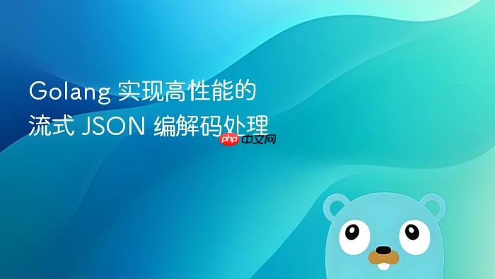 golang 实现高性能的流式 json 编解码处理