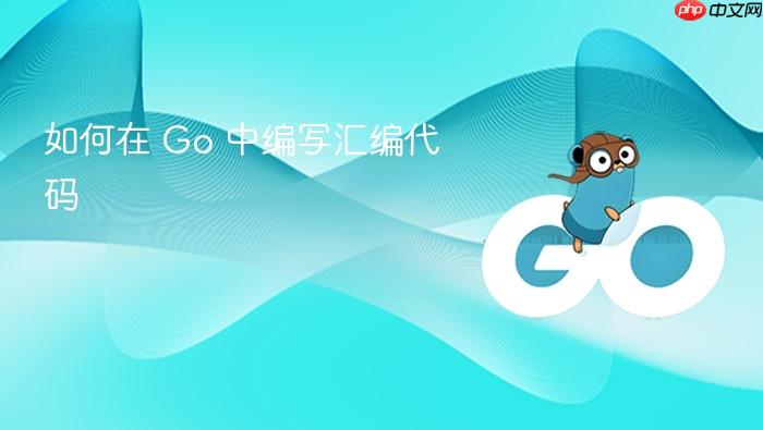 如何在 go 中编写汇编代码