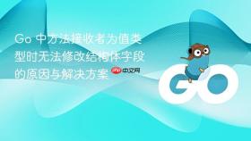 Go 中方法接收者为值类型时无法修改结构体字段的原因与解决方案
