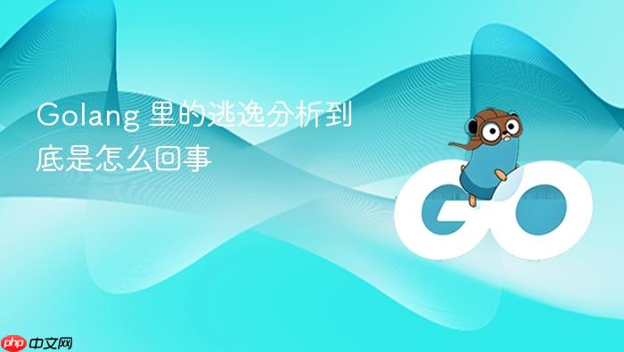 golang 里的逃逸分析到底是怎么回事