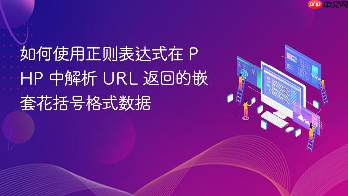 如何使用正则表达式在 PHP 中解析 URL 返回的嵌套花括号格式数据