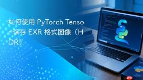 如何使用 PyTorch Tensor 保存 EXR 格式图像（HDR）