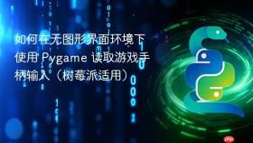 如何在无图形界面环境下使用 Pygame 读取游戏手柄输入(树莓派适用)