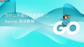 为什么不能往已关闭的 channel 发送数据