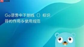 Go语言中下划线()标识符的作用与使用规范