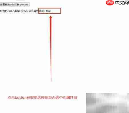radio对象checked属性用法解析