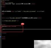 radio对象checked属性用法解析