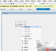 C窗体添加按钮标签对话框