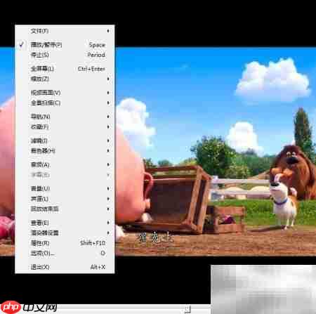 如何用ftis播放器保存图像