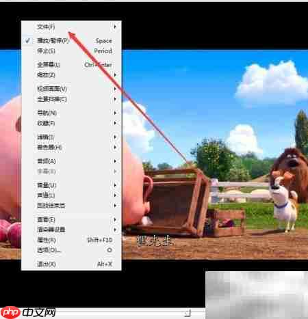 如何用ftis播放器保存图像