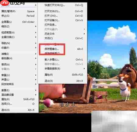 如何用ftis播放器保存图像