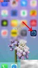 TT语音签到指南