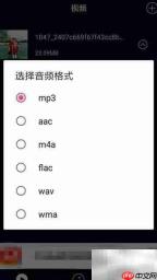 抖音视频音乐提取方法