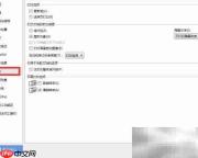WPS粘贴自动转纯文本