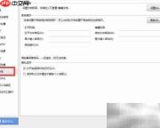 WPS粘贴自动转纯文本