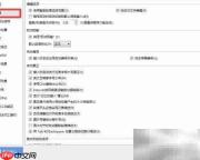 WPS粘贴自动转纯文本