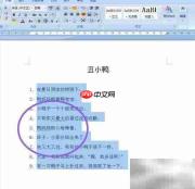 Word批量编号转换技巧