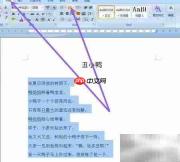 Word批量编号转换技巧