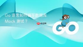 go 语言如何编写数据库 mock 测试？