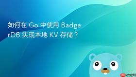 如何在 go 中使用 badgerdb 实现本地 kv 存储?