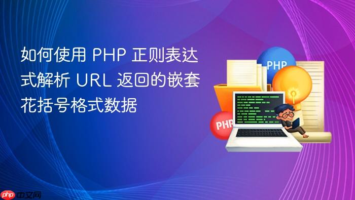 如何使用 PHP 正则表达式解析 URL 返回的嵌套花括号格式数据
