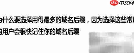 如何选好网站域名