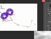 PS画笔图案制作教程