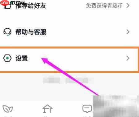 青藤之恋隐私模式开启指南