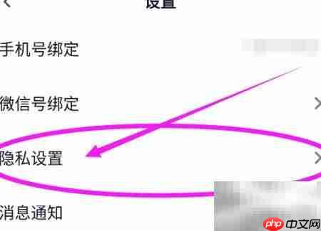 青藤之恋隐私模式开启指南