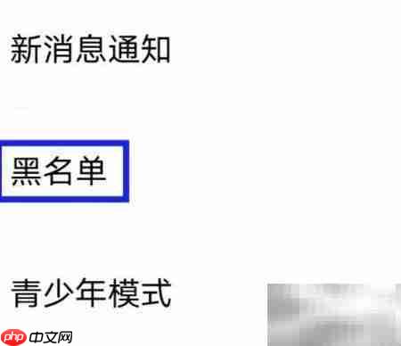 佳音交友黑名单管理指南
