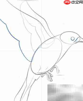 蓝鸟绘画入门:简单五步完成