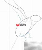 蓝鸟绘画入门:简单五步完成