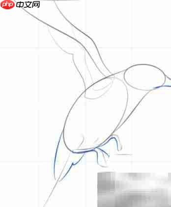 蓝鸟绘画入门:简单五步完成