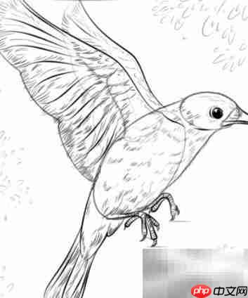 蓝鸟绘画入门:简单五步完成